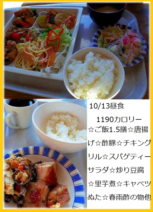 2015_1013_113635-IMGP5647 - コピー.JPG