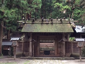 IMG_0059.JPG