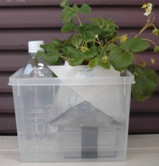 プチ底面給水シート