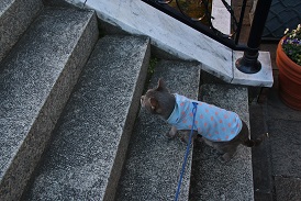 IMG_1696-2.jpg