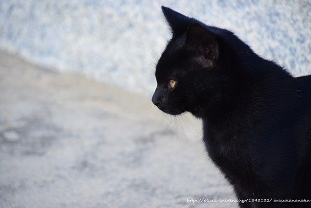 別れた後に本物のプロポーズを伴うスパイダーマン ゲームが登場