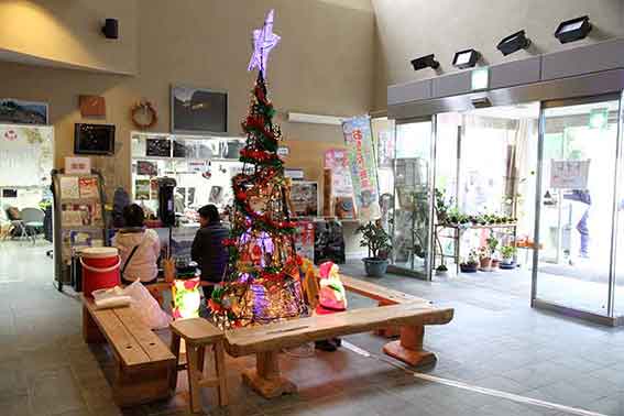 美郷梅酒まつり-17♪