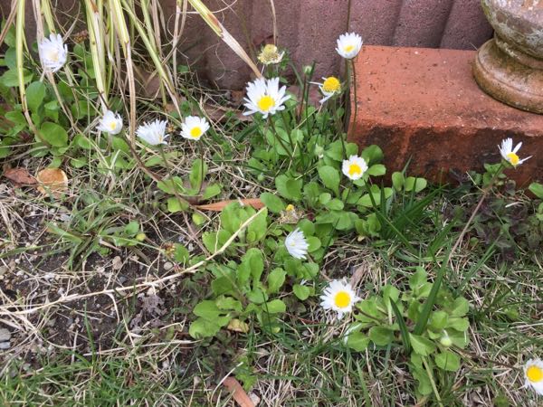 rblog-20180408220630-08.jpg
