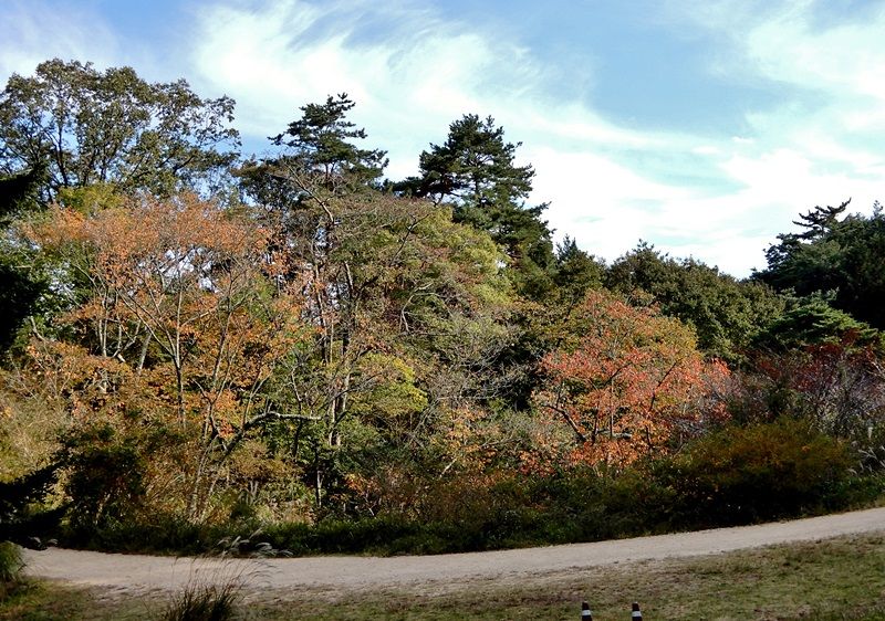 園内路4