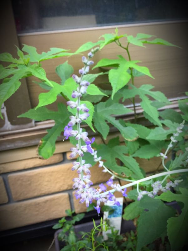 rblog-20160630185104-06.jpg