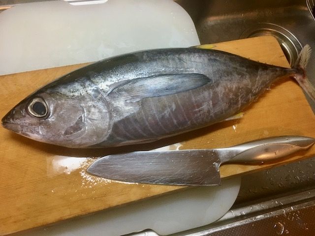 マグロを捌く ふたりでごはん 楽天ブログ