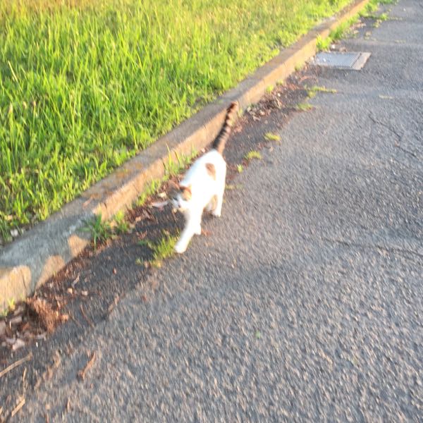 rblog-20160604090118-04.jpg