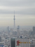 IMG_1551 s.jpg