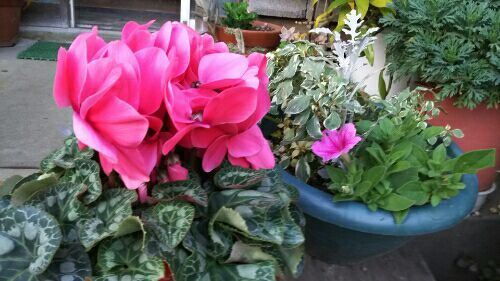 rblog-20161203170750-01.jpg