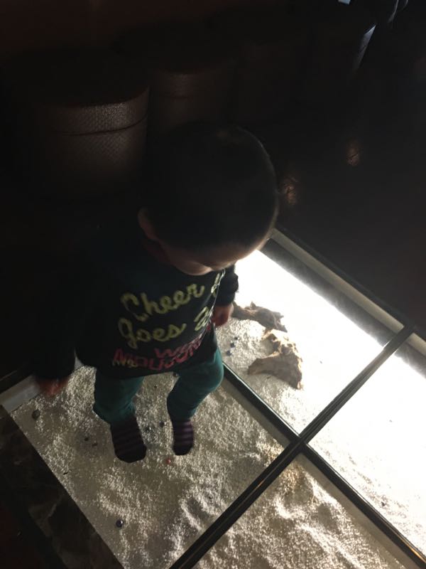 rblog-20160130004858-04.jpg