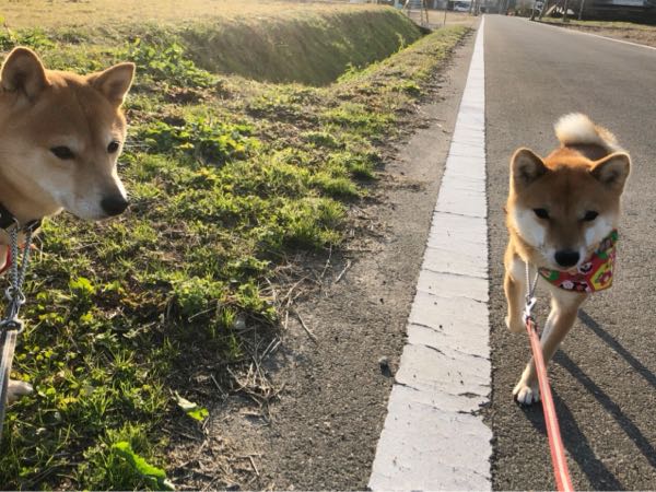 rblog-20190104163743-03.jpg