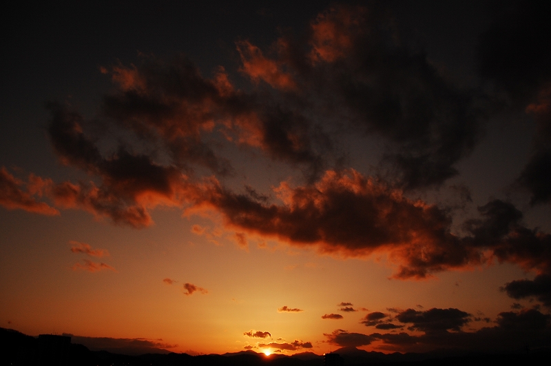 D40 643-2.jpg
