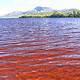 赤い海