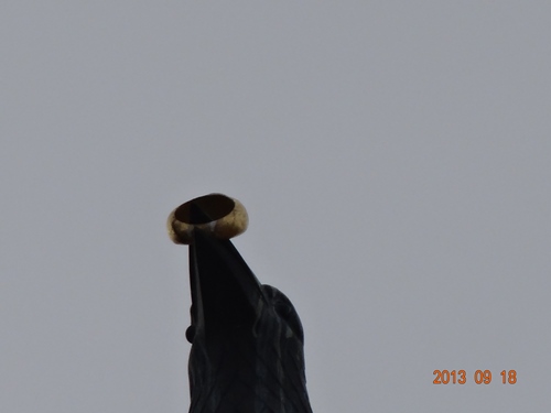DSC00831_R.JPG