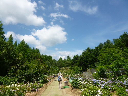 P1110391(1).JPG