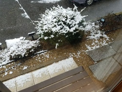rblog-20170325084739-03.jpg