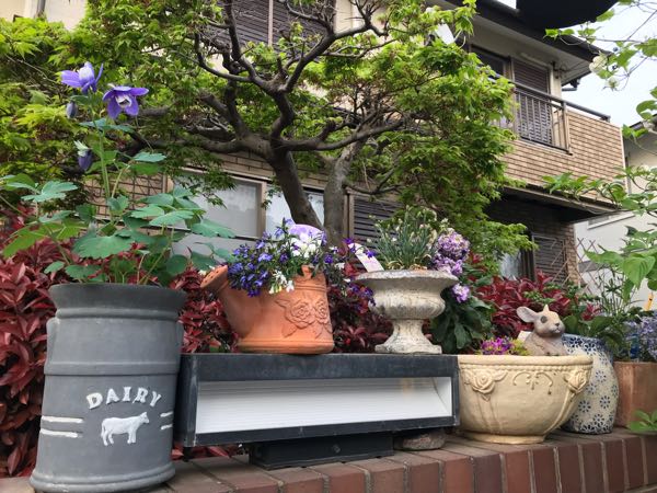 rblog-20190423182339-06.jpg
