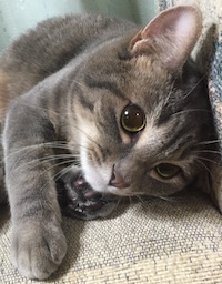 2016-01-29 21.08.20.jpg