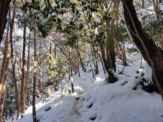 初の雪山登山に（1/29） | たけたけの休日 バイクとお寺と登山 - 楽天ブログ