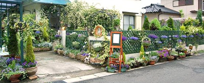 02.jpg