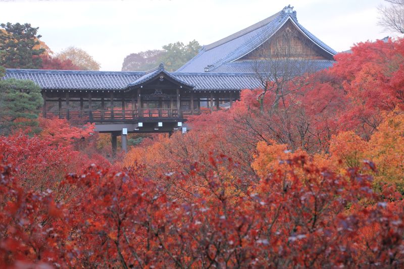 東福寺_003.jpg