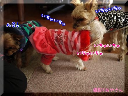 あや１.jpg