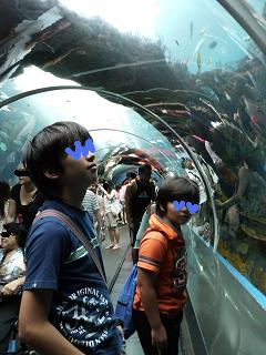 P1110619水族館７.jpg