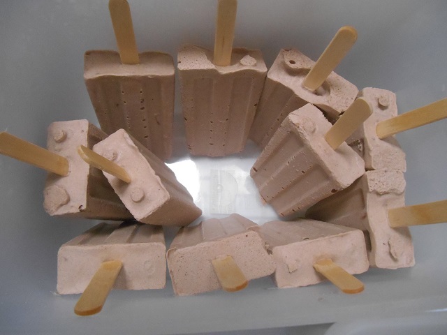DSCN0811.JPG