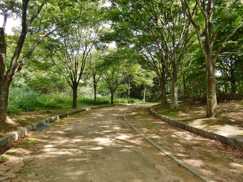 外周路1.JPG