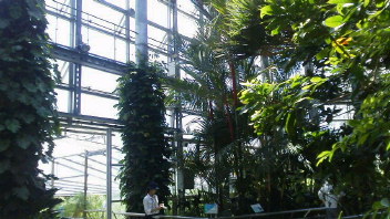 フォト♪ 224 - コピー.JPG