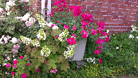 rblog-20130604213306-01.png