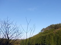 P1010016.JPG