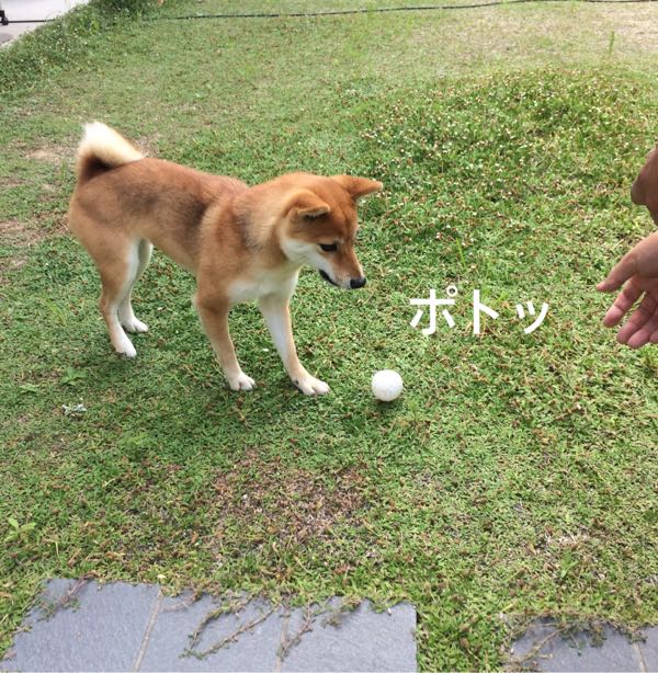rblog-20170821110658-06.jpg