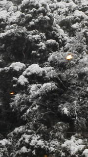 201402092