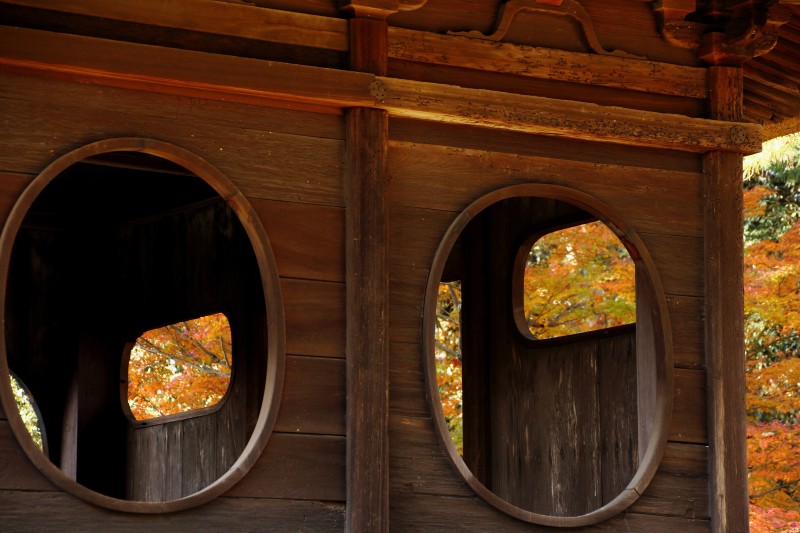 奈良公園・飛火野_003.jpg