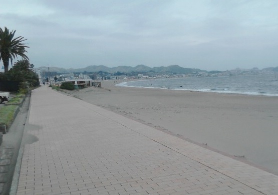 16040220.jpg