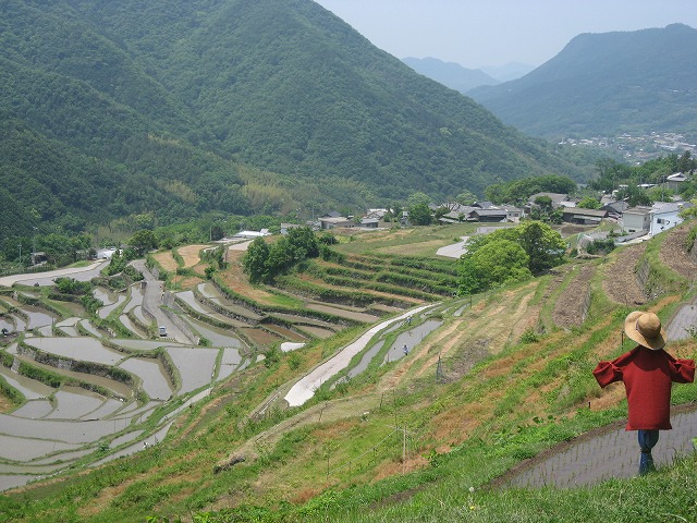 中山千枚田