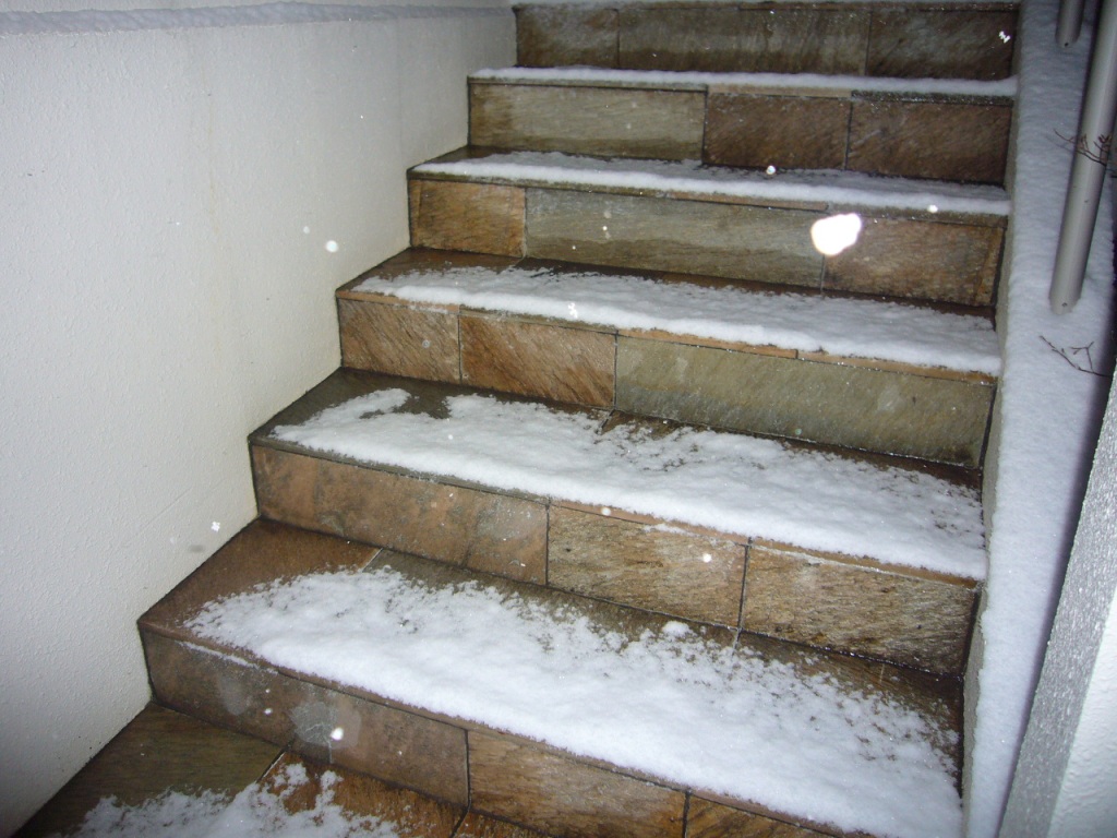 P1170350-.jpg