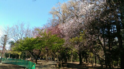 rblog-20160326092804-02.jpg