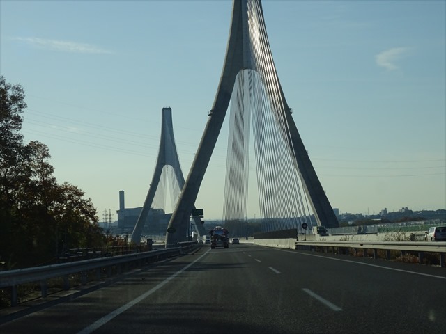 DSC08584_R.JPG