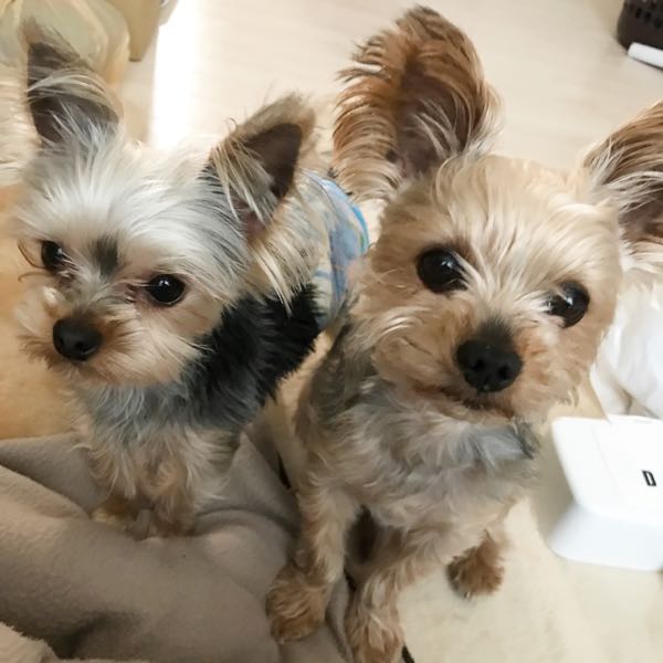 rblog-20180404094419-00.jpg