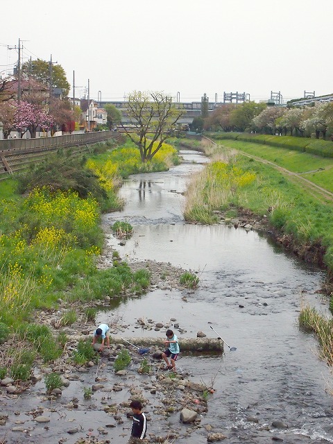 s-p1549.jpg