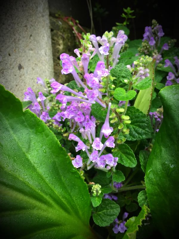 rblog-20160428172311-06.jpg
