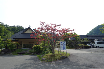 桐の花1.jpg