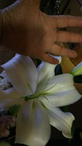 rblog-20170621144634-01.jpg