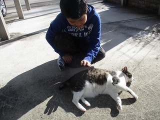 IMG_5307ss.jpg