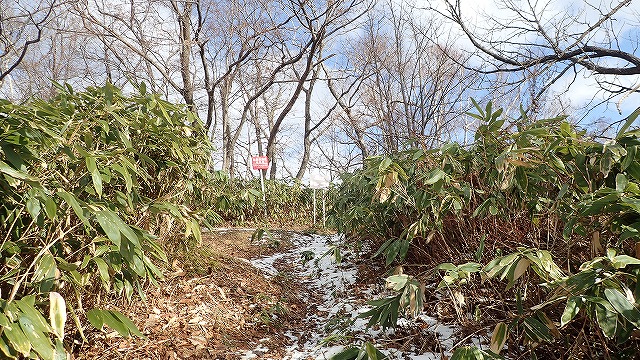 PB261733　11：16分岐.jpg