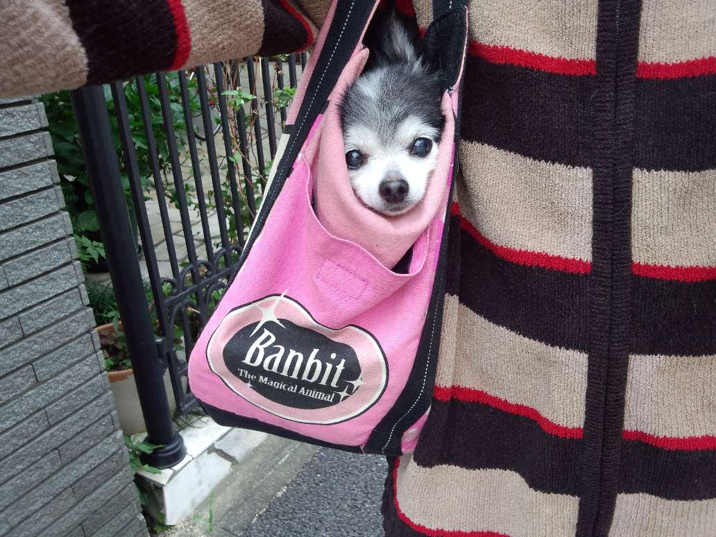 FzJ310014 (1).JPG