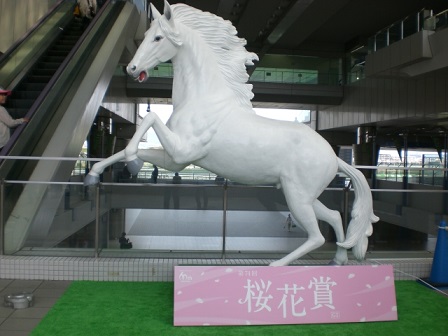 CIMG2758.JPG