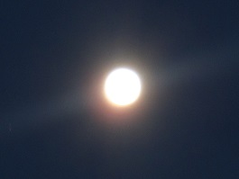 IMG_2600.JPG